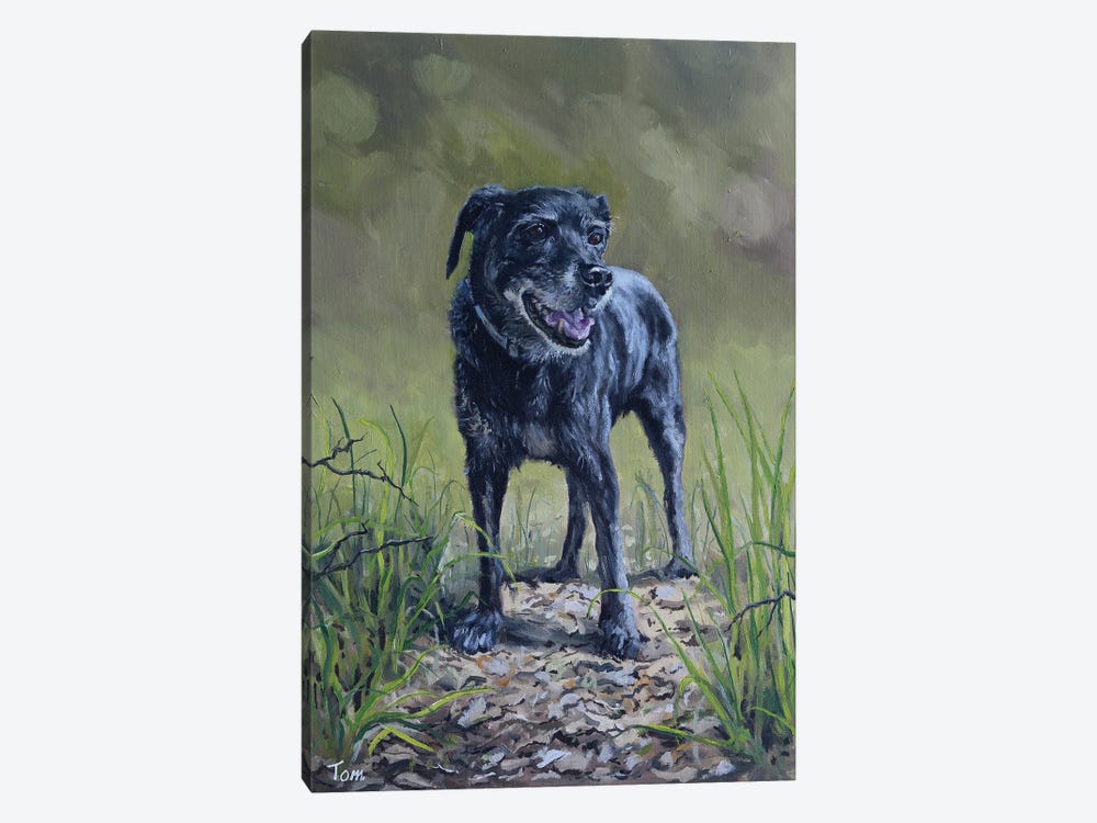Dog by Tom Clay 1-piece Canvas Art