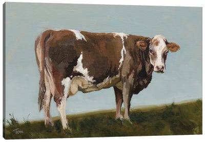 Swiss Fleckvieh Cow II Canvas Art Print - Tom Clay