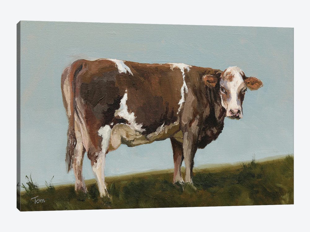 Swiss Fleckvieh Cow II by Tom Clay 1-piece Art Print