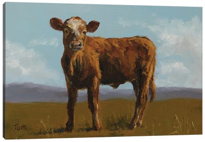 Schweizer Evolène Calf Canvas Art Print - Tom Clay
