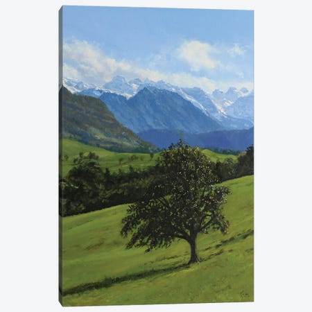 Old Apple Tree In A Meadow Canvas Print #TLY65} by Tom Clay Art Print