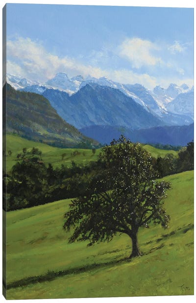 Old Apple Tree In A Meadow Canvas Art Print - Tom Clay