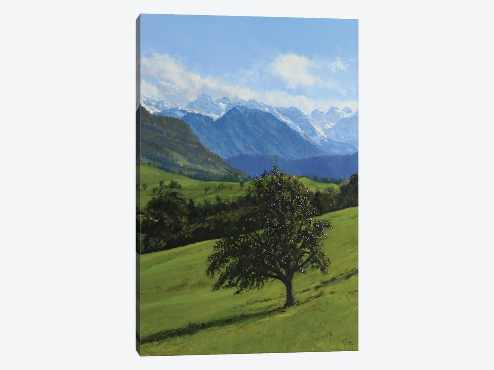 Old Apple Tree In A Meadow by Tom Clay 1-piece Canvas Art Print
