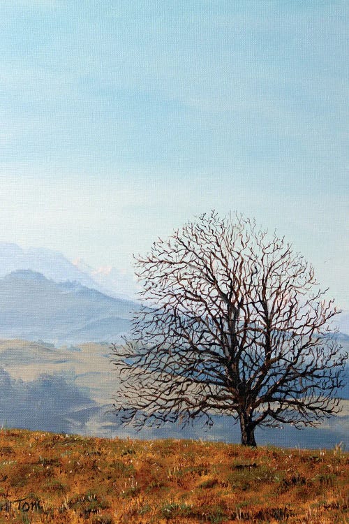 Tree On Hill Above Hirzel