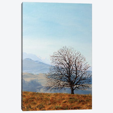Tree On Hill Above Hirzel Canvas Print #TLY66} by Tom Clay Art Print