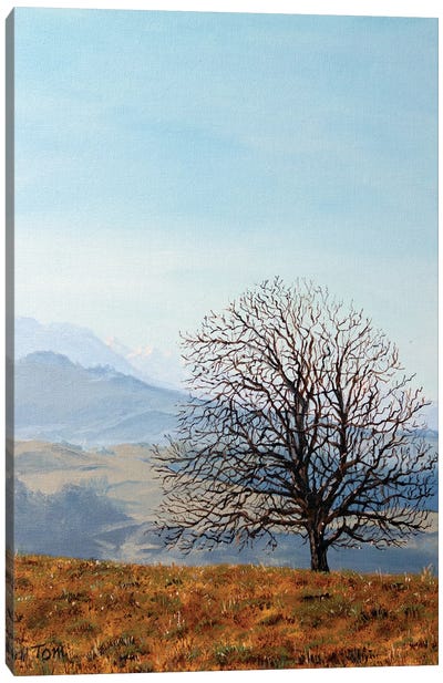 Tree On Hill Above Hirzel Canvas Art Print - Tom Clay