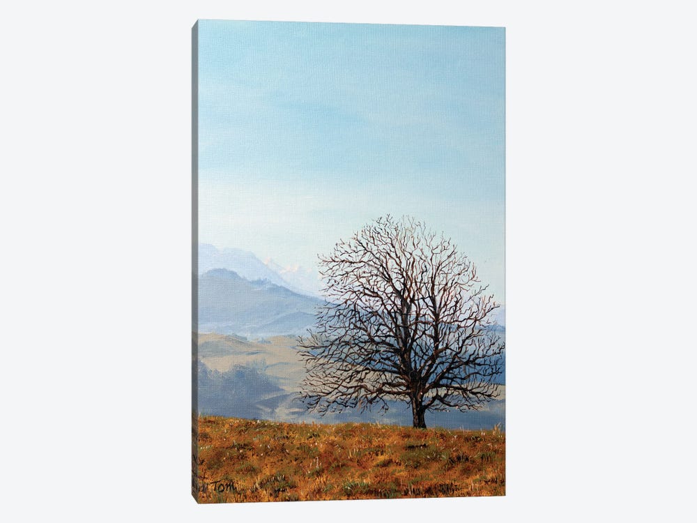 Tree On Hill Above Hirzel by Tom Clay 1-piece Canvas Artwork