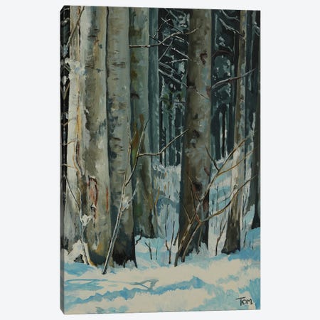 Woods At Raten Canvas Print #TLY67} by Tom Clay Canvas Art Print