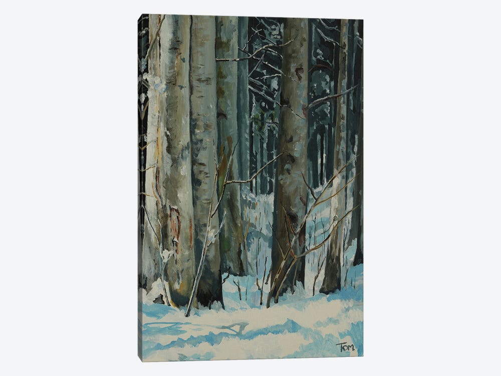 Woods At Raten by Tom Clay 1-piece Art Print