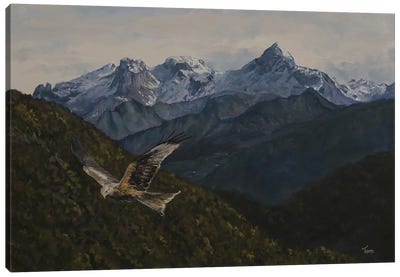 Autumn Flight Canvas Art Print - Buzzard & Hawk Art