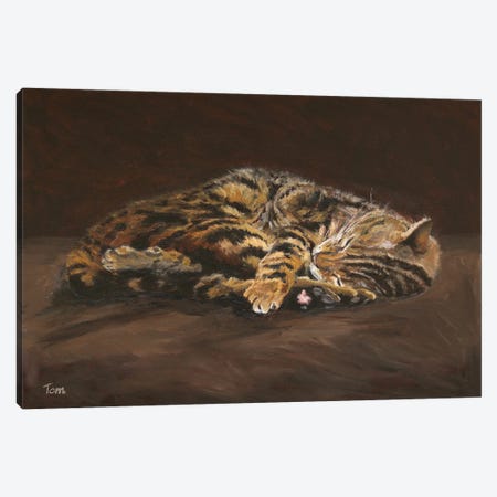Sleeping Cat Canvas Print #TLY70} by Tom Clay Art Print