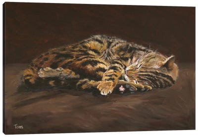 Sleeping Cat Canvas Art Print - Tom Clay