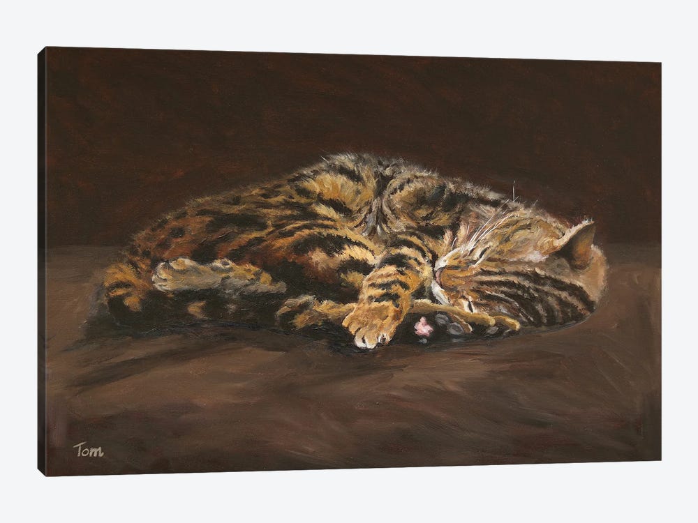 Sleeping Cat by Tom Clay 1-piece Canvas Print