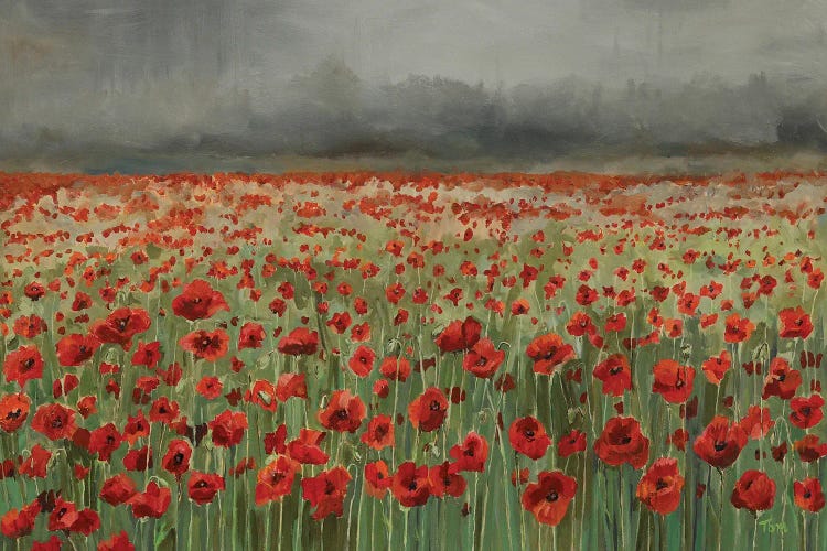 Field Of Poppies