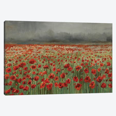 Field Of Poppies Canvas Print #TLY9} by Tom Clay Art Print