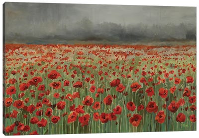 Field Of Poppies Canvas Art Print - Tom Clay