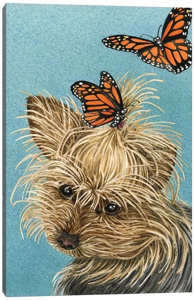Butterfly Accessories Canvas Art Print - Yorkshire Terrier Art