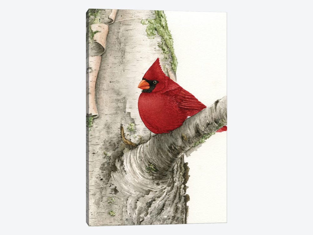 Cardinal In Birch Tree by Tracy Lizotte 1-piece Canvas Wall Art