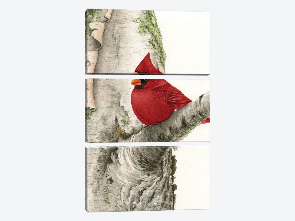 Cardinal In Birch Tree by Tracy Lizotte 3-piece Canvas Art