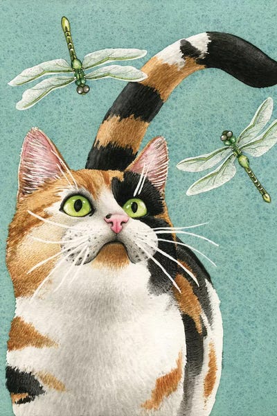 Dragonflies: Catch Me If You Can by Tracy Lizotte