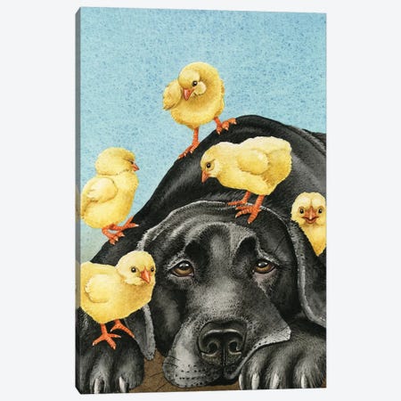 Chick Magnet Canvas Print #TLZ19} by Tracy Lizotte Canvas Art