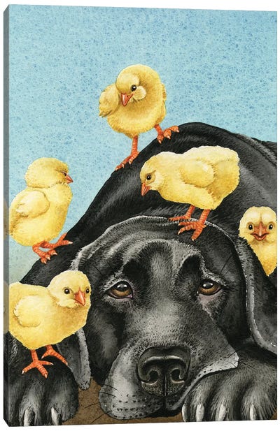 Chick Magnet Canvas Art Print - Labrador Retriever Art