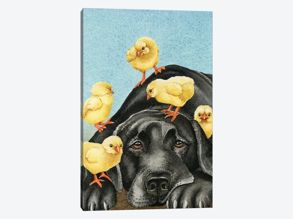 Chick Magnet by Tracy Lizotte 1-piece Canvas Wall Art