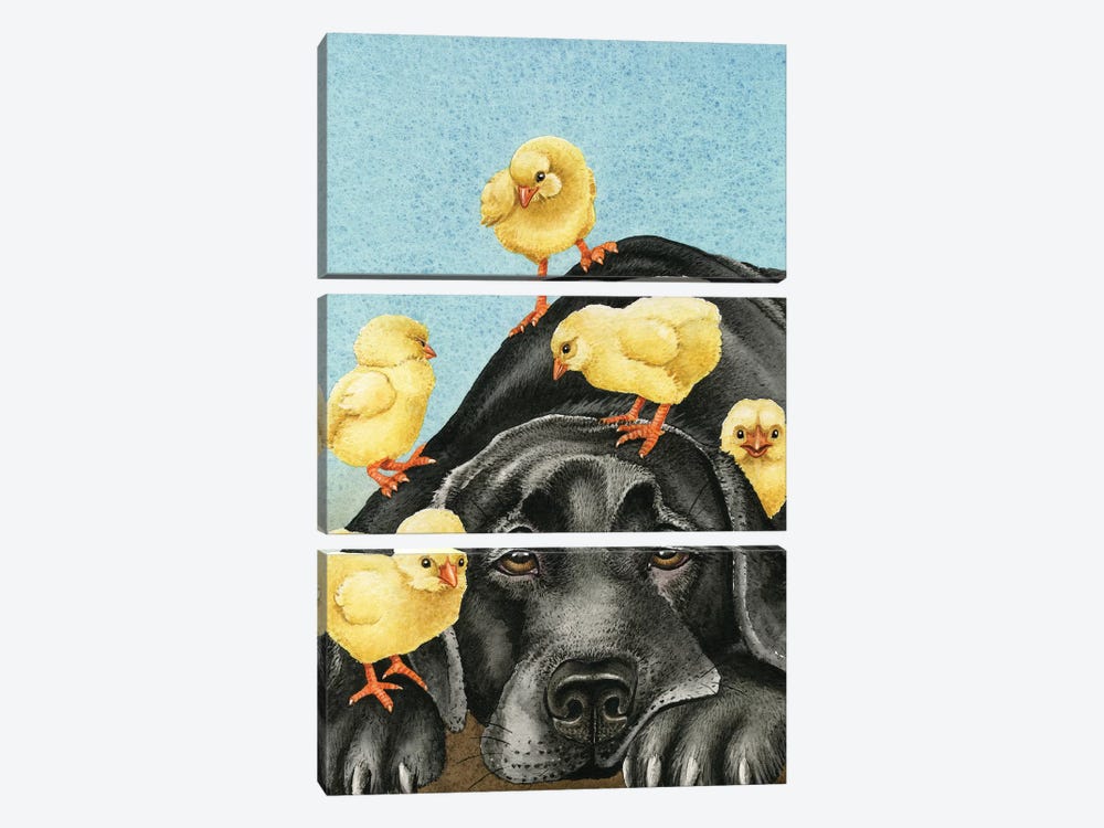 Chick Magnet by Tracy Lizotte 3-piece Canvas Art