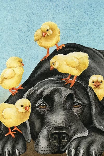 Labrador Retrievers: Chick Magnet by Tracy Lizotte