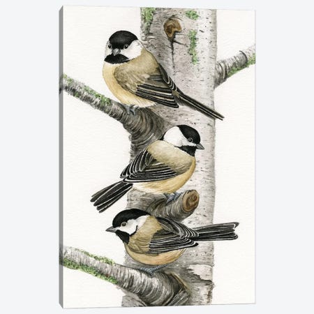 Chickadees In Birch Tree Canvas Print #TLZ20} by Tracy Lizotte Canvas Art Print