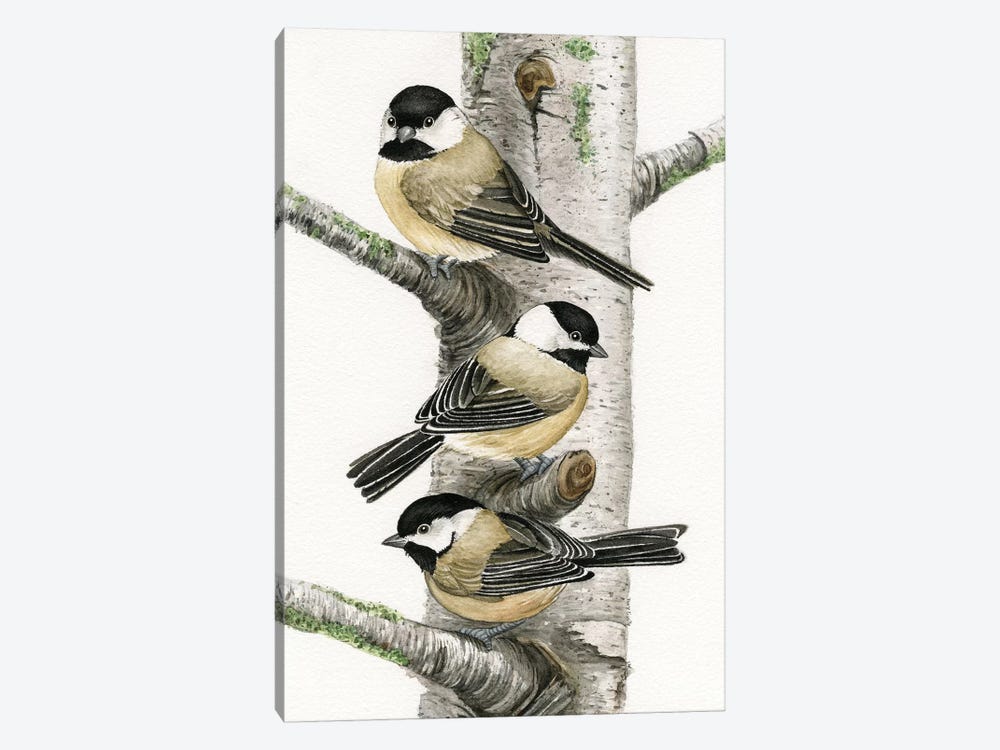 Chickadees In Birch Tree Canvas Print by Tracy Lizotte | iCanvas