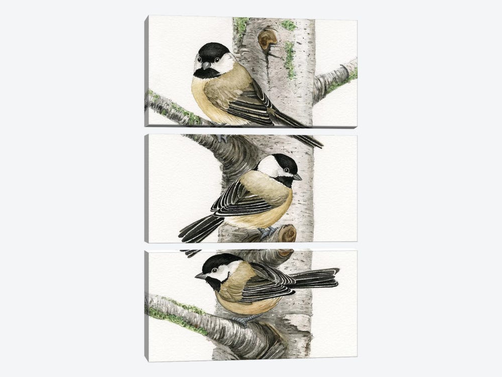 Chickadees In Birch Tree by Tracy Lizotte 3-piece Canvas Artwork