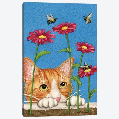 Curious Cat Canvas Print #TLZ24} by Tracy Lizotte Canvas Wall Art