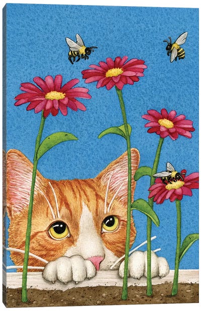 Curious Cat Canvas Art Print - Bee Art
