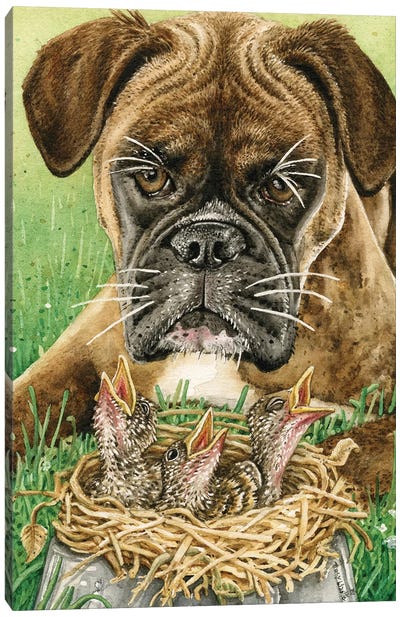 Dog Dish Dilemma Canvas Art Print - Boxer Art