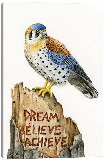 Dream Believe Achieve Canvas Art Print - Tracy Lizotte