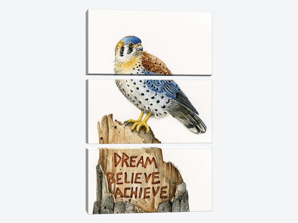 Dream Believe Achieve by Tracy Lizotte 3-piece Canvas Wall Art