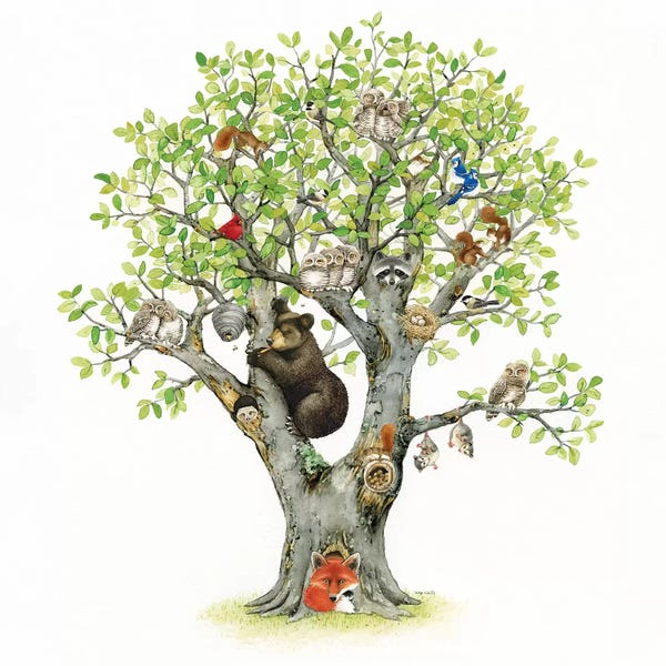 Animal Tree