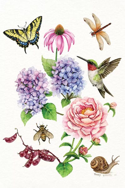 Garden Collection by Tracy Lizotte framed wall art