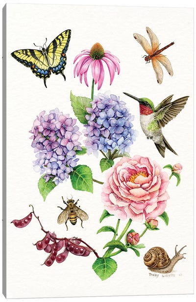 Garden Collection Canvas Art Print - Dragonfly Art