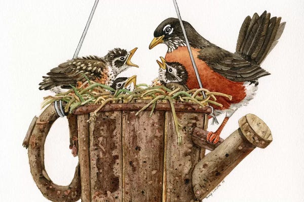 Lakehouse Décor: Garden Living by Tracy Lizotte