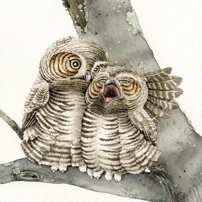 Good Night Owl by Tracy Lizotte framed wall art