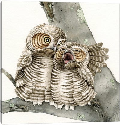 Good Night Owl Canvas Art Print - Lakehouse Décor