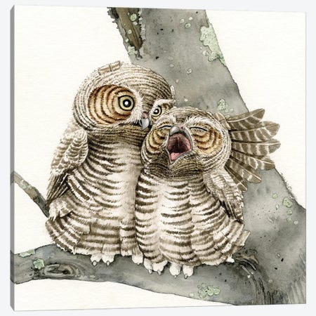 Good Night Owl Canvas Print #TLZ40} by Tracy Lizotte Art Print