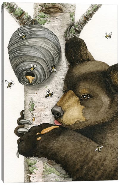 Honey Bear Canvas Art Print - Birch Tree Art