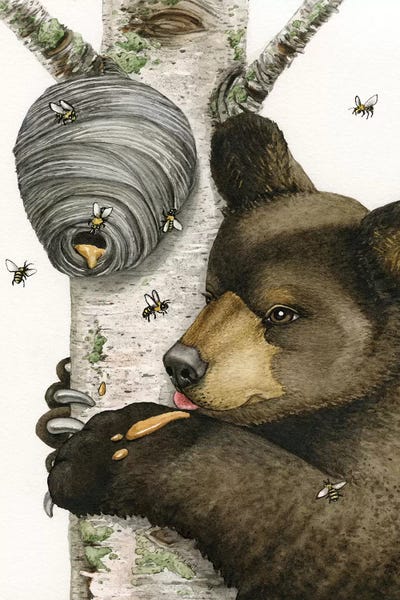Birch Trees: Honey Bear by Tracy Lizotte