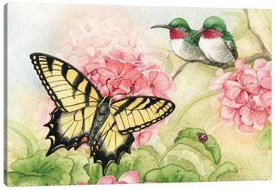 Humingbird Garden I Canvas Art Print - Insect & Bug Art