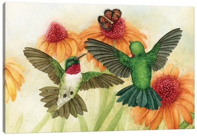 Humingbird Garden II Canvas Art Print - Hummingbird Art