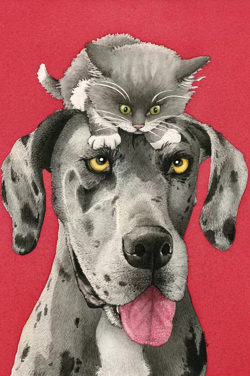 Kitten Around by Tracy Lizotte wall art