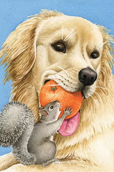 Squirrels: Let Me Retreive My Orange by Tracy Lizotte